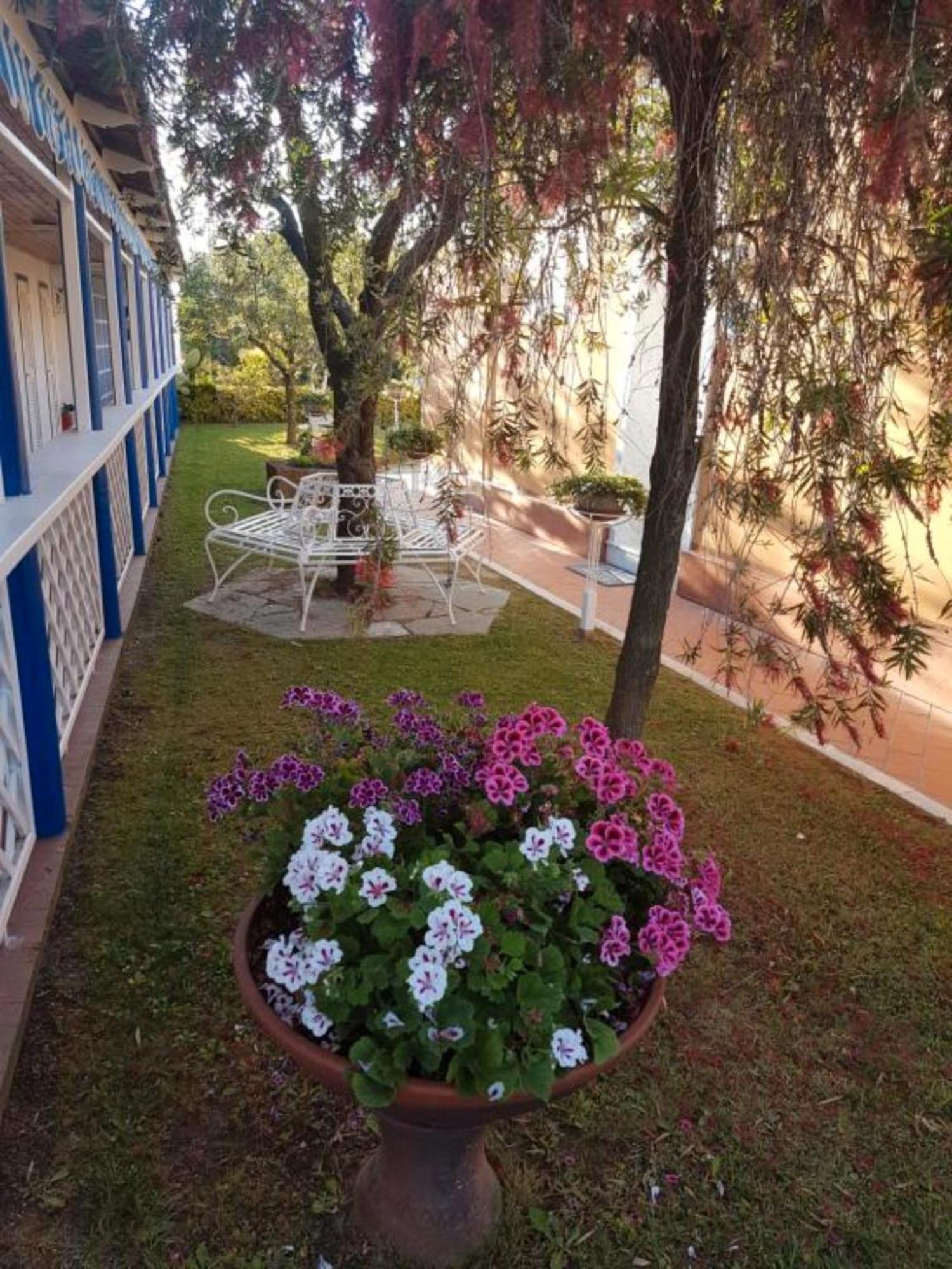 Bed And Breakfast Bagno Venezia มารีนาดีคาร์รารา ภายนอก รูปภาพ